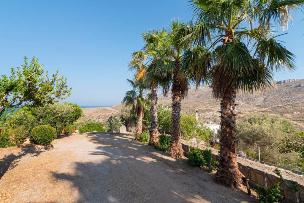 Georgia'S Studio Zakros Ngoại thất bức ảnh