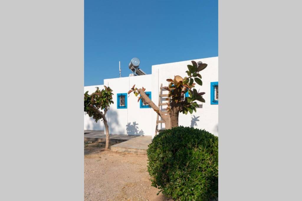 Georgia'S Studio Zakros Ngoại thất bức ảnh