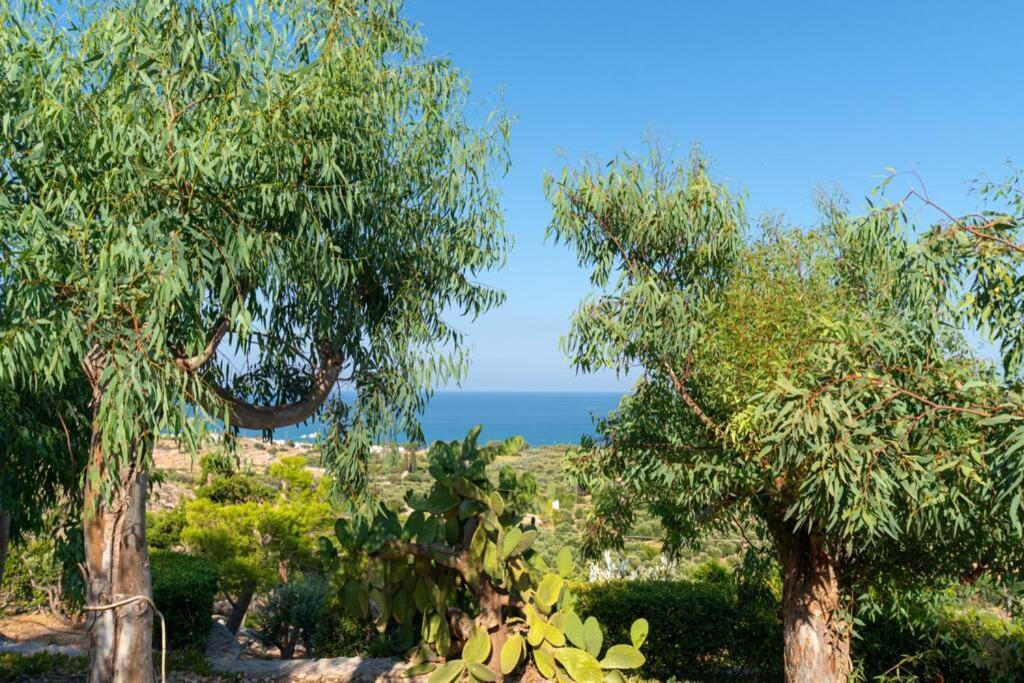 Georgia'S Studio Zakros Ngoại thất bức ảnh