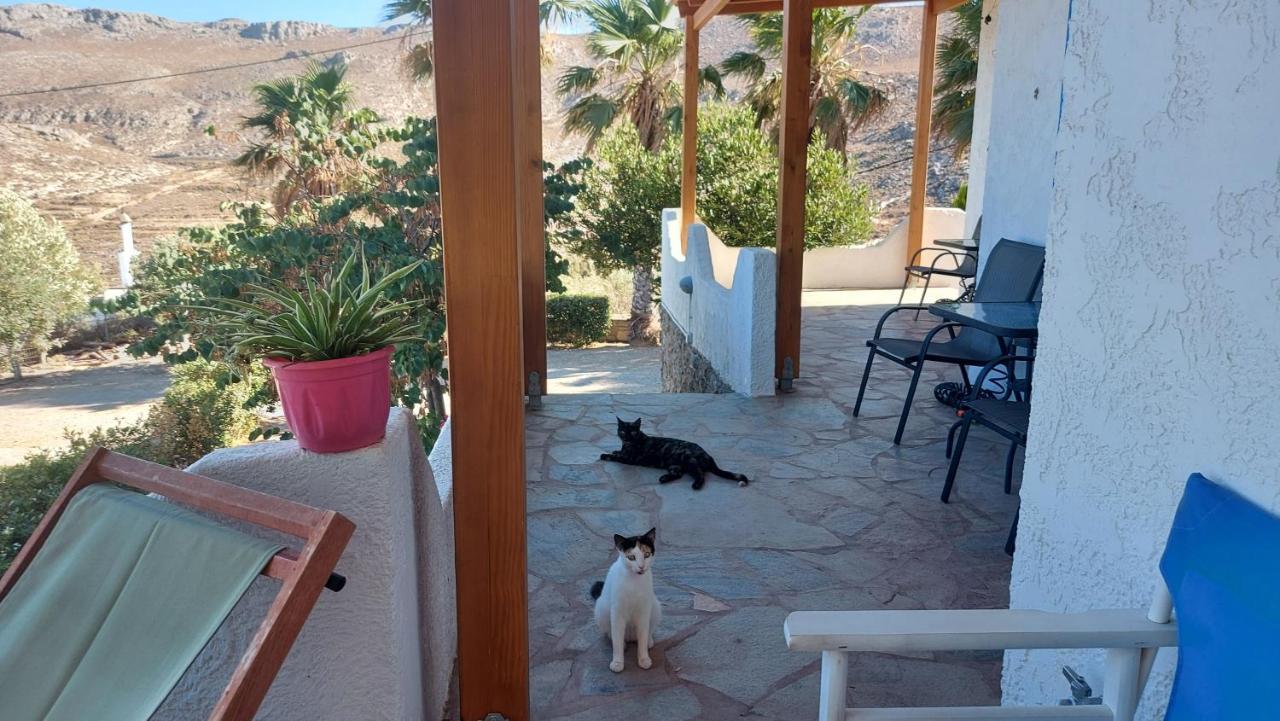 Georgia'S Studio Zakros Ngoại thất bức ảnh